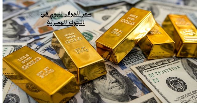 سعر الدولار اليوم في البنوك المصرية