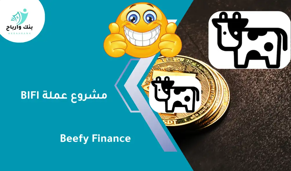 مشروع عملة BIFI